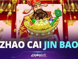 Zhao Cai Tong Zi game thumbnail